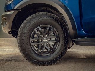 游骑侠Ranger图片