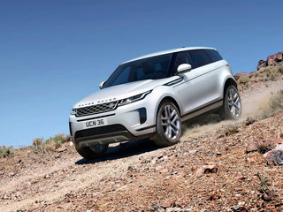 揽胜极光（进口）图片