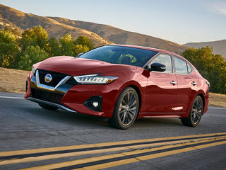 西玛(海外)图片