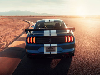 Mustang图片
