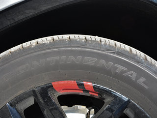 Traverse(进口)图片