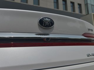 秦Pro新能源图片