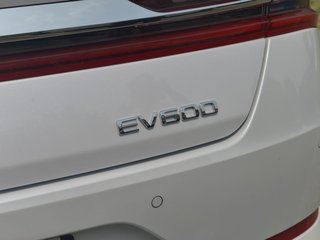 秦Pro新能源图片