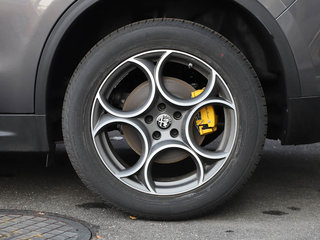 Stelvio斯坦维图片