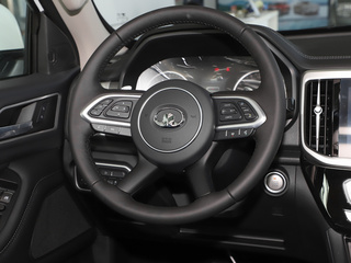 炮乘用皮卡图片