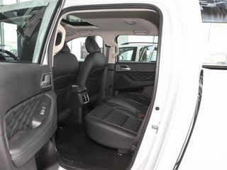 炮乘用皮卡图片