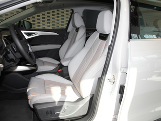 奥迪Q5 e-tron图片