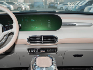 欧拉芭蕾猫图片