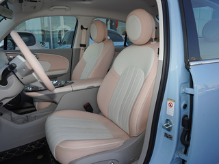 欧拉芭蕾猫图片