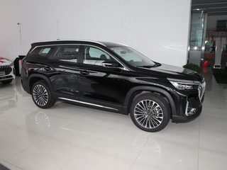 {捷途X90 C-DM}圖片