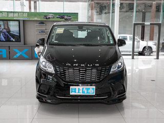 上汽大通MAXUS G10图片