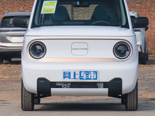 {熊猫mini}图片