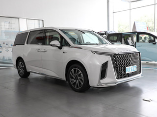 上汽大通MAXUS G90图片