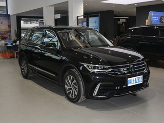 途观L新能源图片