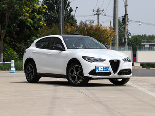 Stelvio斯坦维图片