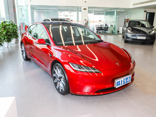 Model 3图片