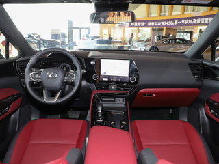 雷克萨斯NX图片