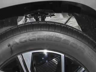 星途追风C-DM图片