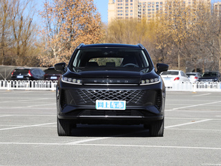 星途追风C-DM图片