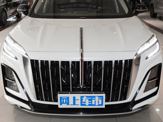 红旗HS3新能源图片