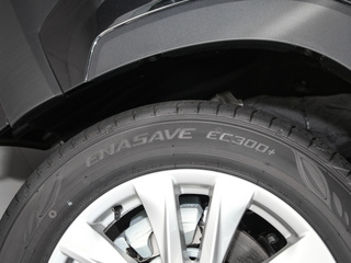 卡罗拉锐放图片