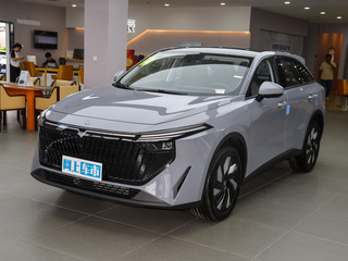 启辰大V DD-i图片