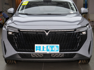 启辰大V DD-i图片