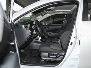 鋒蘭達(dá)圖片