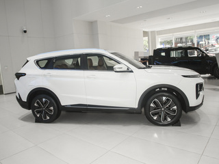 捷途山海L7圖片