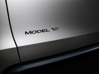Model Y L图片