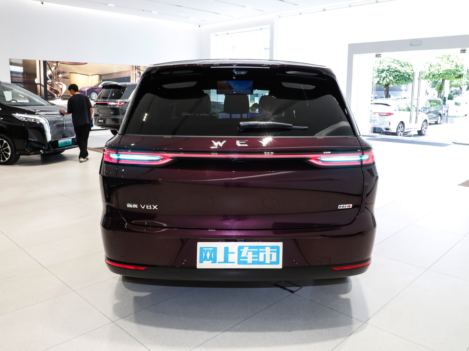 魏牌 V8X图片