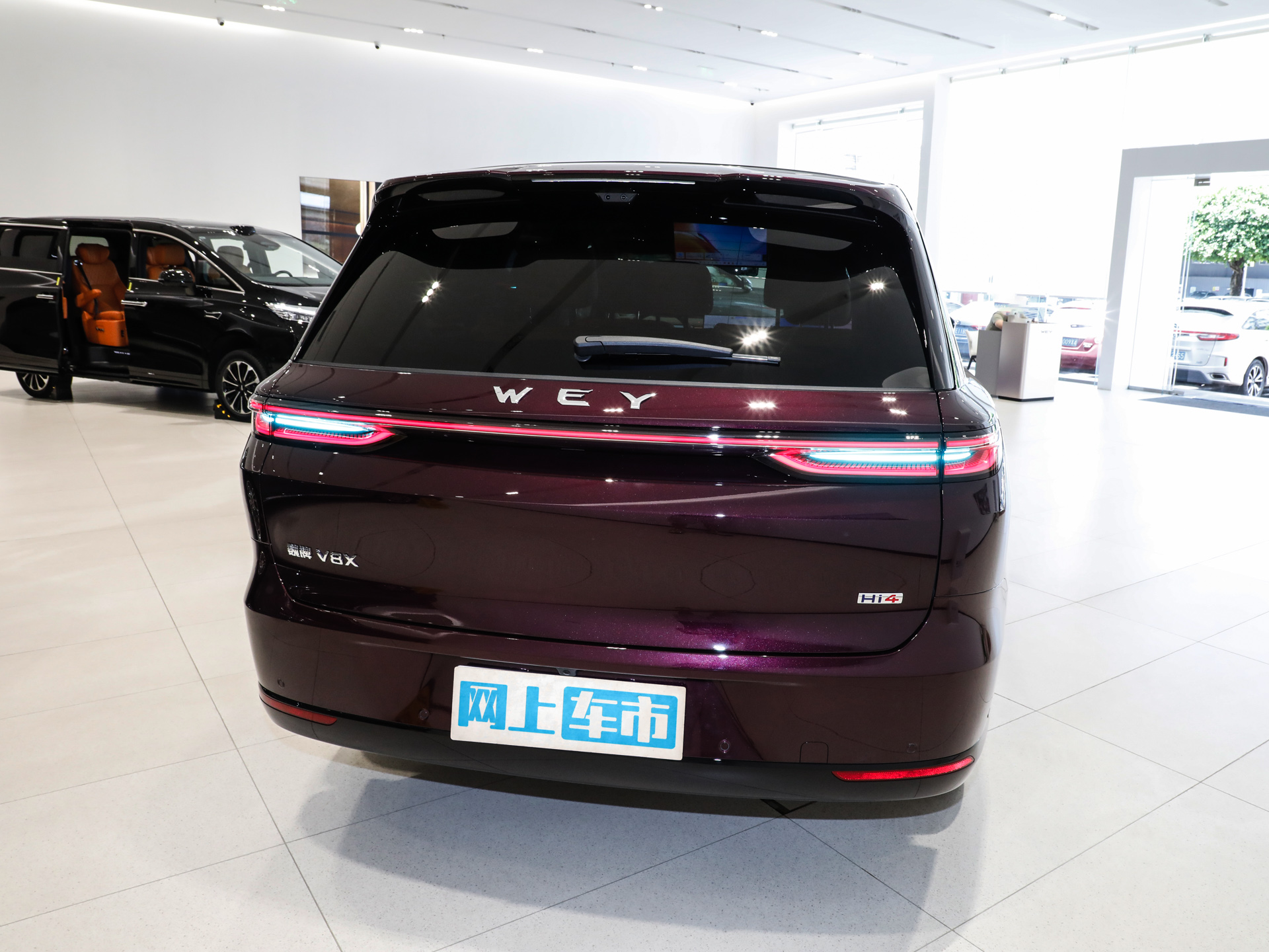 魏牌 V8X图片