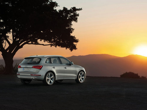 奥迪(进口)  奥迪Q5