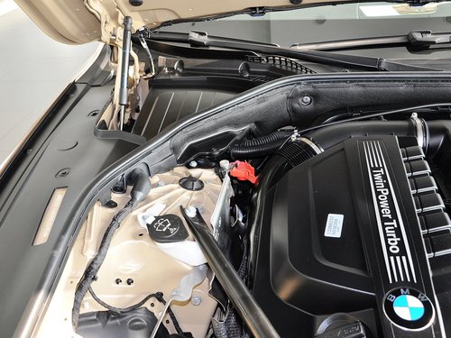 宝马(进口)  740Li 3.0T AT 蓄电池特写