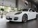 Panamera Turbo 2010款