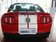 野马 GT500 MT 豪华型 2012款