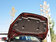 2014款 XC60 T5 4WD