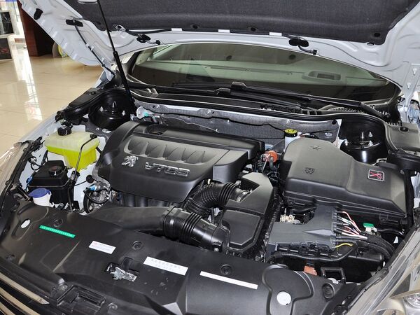 东风标致  2.3L 自动 发动机主体特写