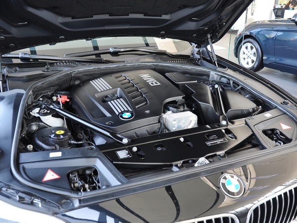 宝马(进口)  530i 3.0L 发动机主体特写
