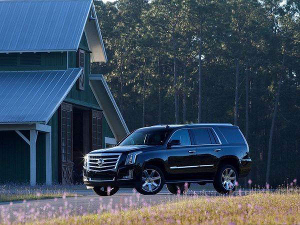 凯迪拉克(进口)  基本型