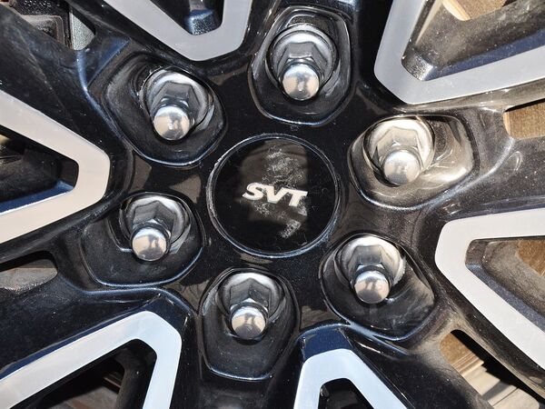 福特(進(jìn)口)  SVT