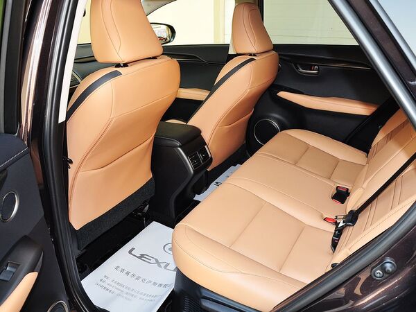 雷克萨斯  300h 第一排座椅靠背后方