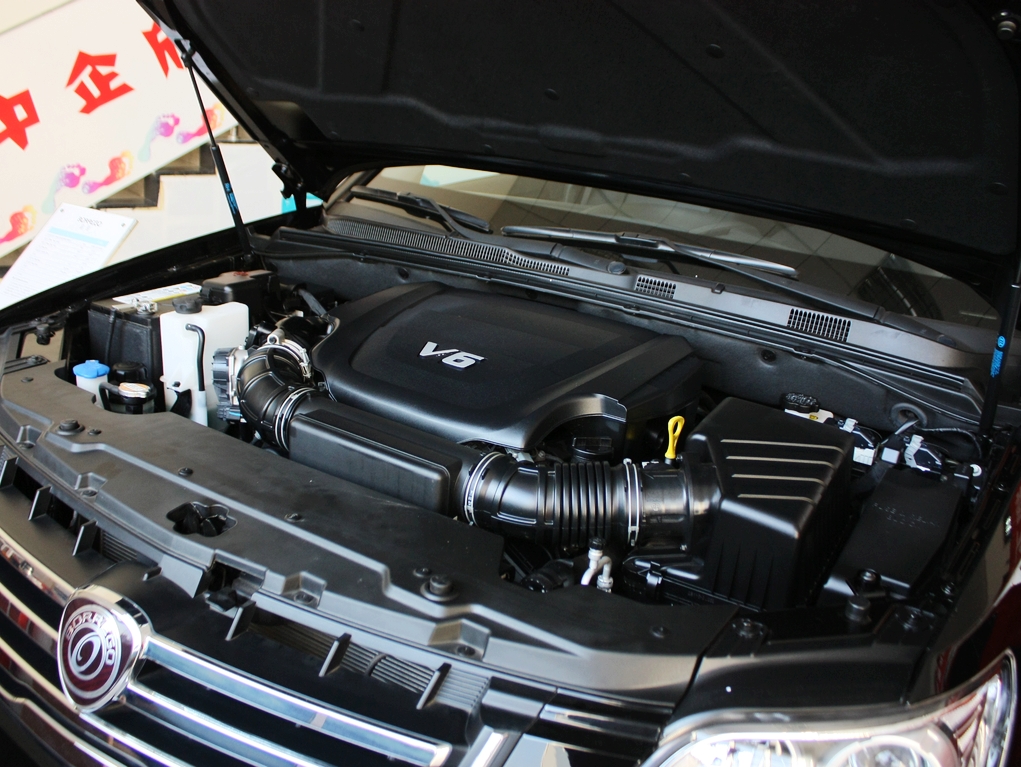 起亚(进口) 3.8L 自动 发动机主体特写