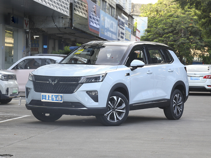 上汽通用五菱  2.0L