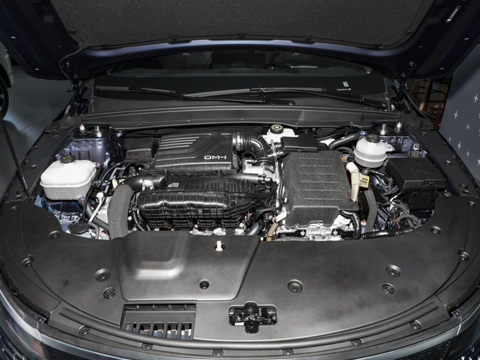 比亚迪  冠军版 DM-i 55KM