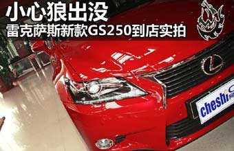 小心狼出没 雷克萨斯新款GS250到店实拍