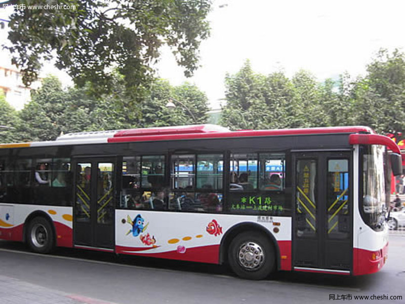 5015dbeacf415_800.jpg