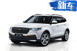 眾泰T800大型SUV即將下線 將于12月上市(圖)