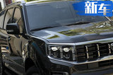 起亞全新霸銳街拍 搭3.8L引擎+四驅(qū)/尾標(biāo)帶字母
