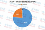 排放升級未影響 2023前三季度柴/汽/純電皮卡銷量解讀
